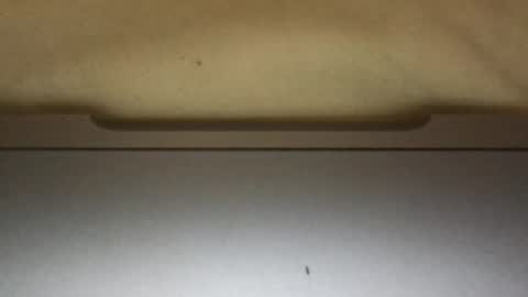 Snapshot of slimthick69couple chatting on October 1, 2025, 4:13 pm slimthick69couple online show from October 1, 2025, 4:13 pm