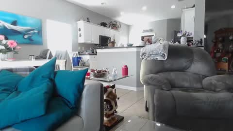 Snapshot of smallpenisbigtongue chatting on December 15, 2024, 7:31 pm Daddy online show from December 15, 2024, 7:31 pm