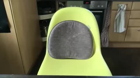 Snapshot of smart_sex69 chatting on March 11, 2025, 11:33 am smart_sex69 online show from March 11, 2025, 11:33 am