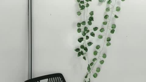 Julia online show from October 9, 2025, 6:33 am