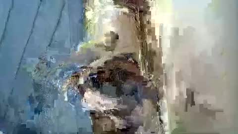 Snapshot of smiley_berry chatting on September 30, 2025, 7:30 pm smiley_berry online show from September 30, 2025, 7:30 pm