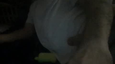 Snapshot of smokenfuk23 chatting on November 30, 2025, 1:53 am smokenfuk23 online show from November 30, 2025, 1:53 am