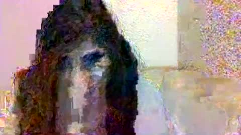 Snapshot of smurdle11 chatting on October 25, 2025, 3:29 pm smurdle online show from October 25, 2025, 3:29 pm