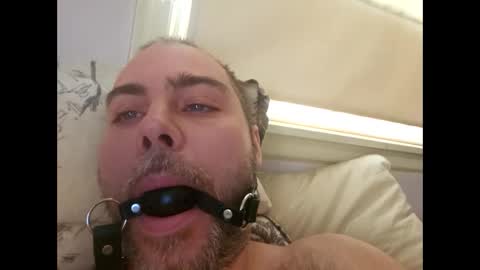 Snapshot of snarkymarks chatting on December 17, 2025, 3:51 pm snarkymarks online show from December 17, 2025, 3:51 pm