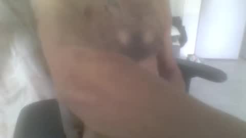 Snapshot of sodomite754 chatting on November 9, 2025, 5:06 am sodomite754 online show from November 9, 2025, 5:06 am