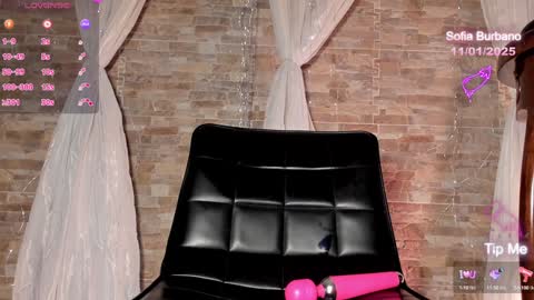 Snapshot of sofia_burbano chatting on January 12, 2025, 12:28 am Sofia Burbano online show from January 12, 2025, 12:28 am