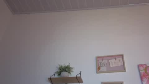     online show from November 15, 2025, 3:48 am