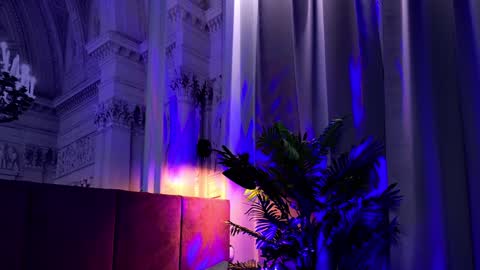 Snapshot of sofiafoster chatting on January 24, 2025, 2:19 pm Sofia online show from January 24, 2025, 2:19 pm