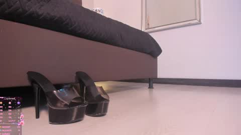 Snapshot of sofiperez_ chatting on January 23, 2025, 2:17 pm online show from January 23, 2025, 2:17 pm