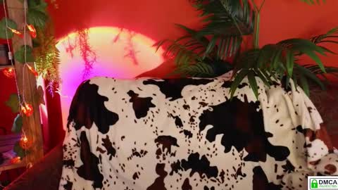 Snapshot of soft_animal chatting on November 18, 2025, 9:14 am E online show from November 18, 2025, 9:14 am