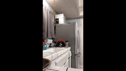 sophia1lux online show from December 15, 2025, 1:43 am