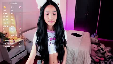 Snapshot of sophiecornett chatting on January 18, 2025, 4:15 am    online show from January 18, 2025, 4:15 am