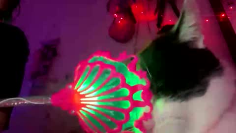 Snapshot of spacegirl42o chatting on November 8, 2025, 8:29 pm Spacegirl online show from November 8, 2025, 8:29 pm