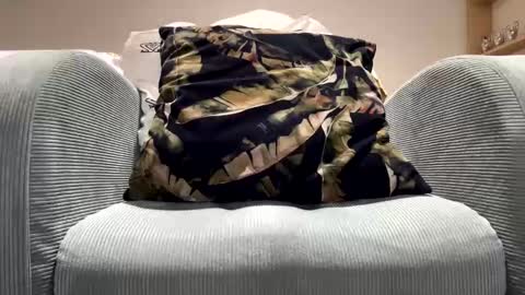 Snapshot of specialll27 chatting on February 11, 2025, 11:54 pm Dany online show from February 11, 2025, 11:54 pm