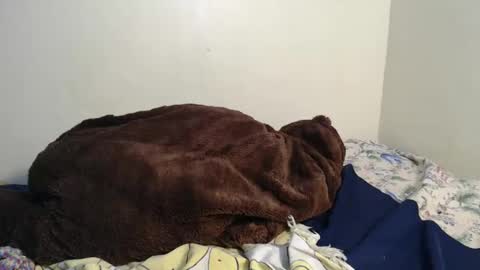 Snapshot of spice_queen chatting on February 2, 2025, 3:43 am dela online show from February 2, 2025, 3:43 am