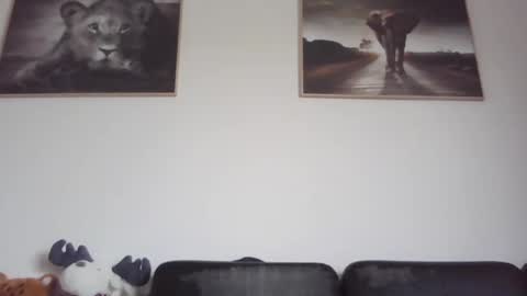 spyco82 online show from February 23, 2025, 9:11 am