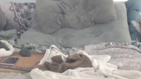 Squirt south beach withdaddy online show from January 15, 2025, 9:51 pm