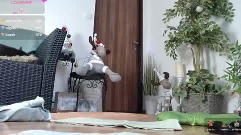 Snapshot of squirtmanica chatting on December 21, 2024, 12:16 pm Monica online show from December 21, 2024, 12:16 pm