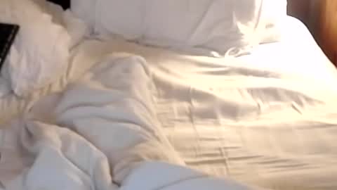 Snapshot of st8llion chatting on January 24, 2025, 7:19 am st8llion online show from January 24, 2025, 7:19 am