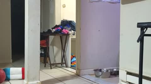 Snapshot of stacytasteme chatting on January 29, 2025, 12:45 pm Submissive Slut LOVES adoration online show from January 29, 2025, 12:45 pm