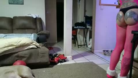 Submissive Slut LOVES adoration online show from February 2, 2025, 8:46 am