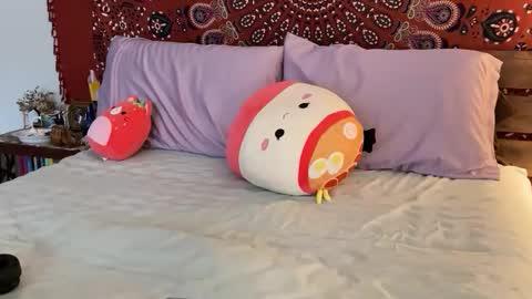 adriana torres online show from February 22, 2025, 10:20 pm