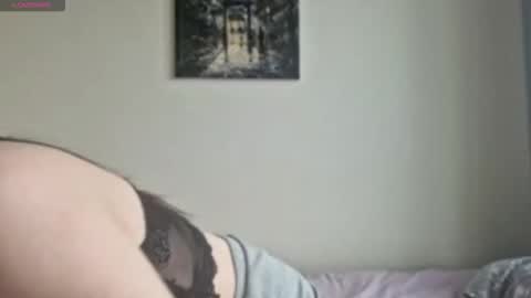 Stella online show from November 26, 2025, 9:32 am