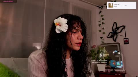 stellart_ online show from December 29, 2024, 3:11 am