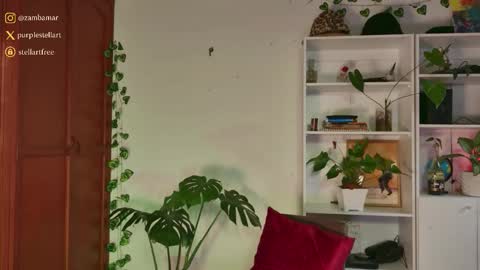 stellart_ online show from November 30, 2025, 10:14 pm