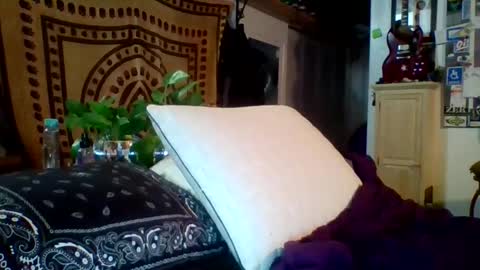 steviehard7 online show from February 12, 2025, 5:15 am