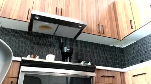 Snapshot of stlhotwifeguy chatting on February 14, 2025, 3:36 pm stlhotwifeguy online show from February 14, 2025, 3:36 pm