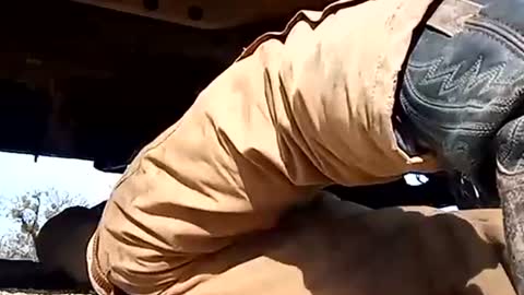 Oval2022 online show from January 1, 2025, 6:16 pm