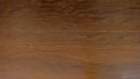 Snapshot of stone_lee_ chatting on February 13, 2025, 11:50 am Stone Lee online show from February 13, 2025, 11:50 am