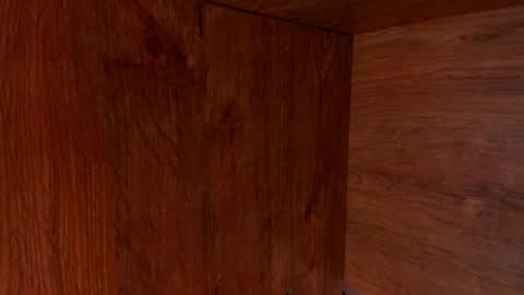 Snapshot of stone_lee_ chatting on February 23, 2025, 9:55 am Stone Lee online show from February 23, 2025, 9:55 am