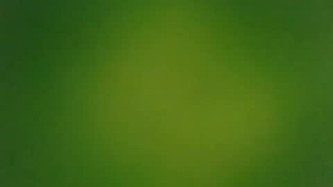 Snapshot of stonedandlovingit chatting on March 3, 2025, 1:42 pm stonedandlovingit online show from March 3, 2025, 1:42 pm