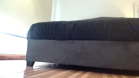 storm_hanks online show from November 29, 2025, 12:24 am