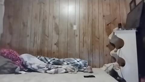 straighttoy online show from March 3, 2025, 5:09 am