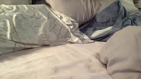 Summer online show from November 26, 2025, 6:31 pm