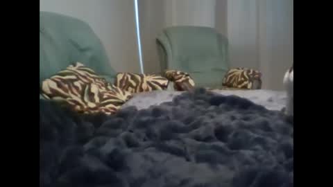 Snapshot of suni_bitch chatting on March 7, 2025, 5:08 am suni online show from March 7, 2025, 5:08 am