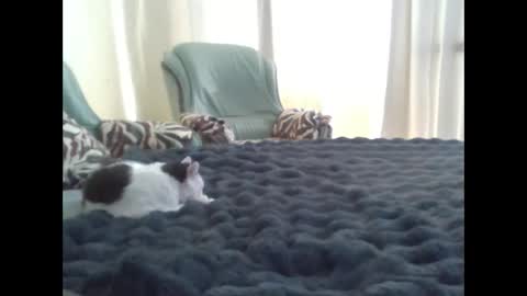 Snapshot of suni_bitch chatting on March 10, 2025, 11:42 am suni online show from March 10, 2025, 11:42 am