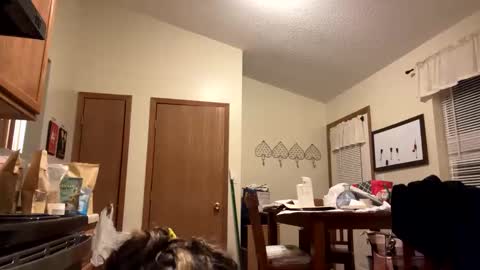 Snapshot of sunnbabe92485 chatting on September 11, 2025, 2:44 am sunnbabe92485 online show from September 11, 2025, 2:44 am