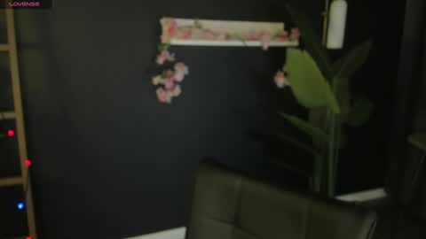 Risha online show from January 14, 2025, 12:35 pm