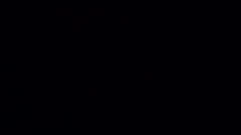 Guero Cash online show from December 4, 2024, 11:19 am