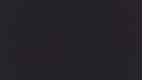 Guero Cash online show from March 11, 2025, 11:59 pm