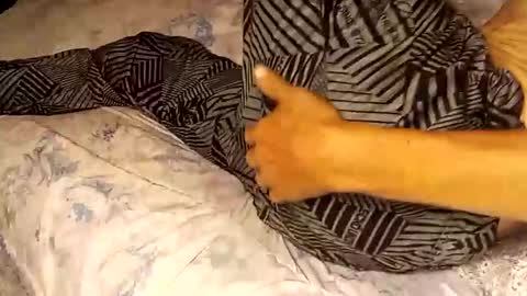 Snapshot of superdavedetailzz2025 chatting on September 19, 2025, 6:37 am superdavedetailzz2025 online show from September 19, 2025, 6:37 am