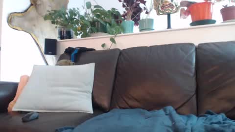 Otto online show from March 11, 2025, 10:42 pm