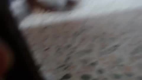 Snapshot of suxxxy_ chatting on January 29, 2025, 3:04 pm Suxxxy online show from January 29, 2025, 3:04 pm