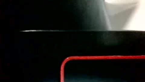 swampdonkey419 online show from October 9, 2025, 12:14 pm