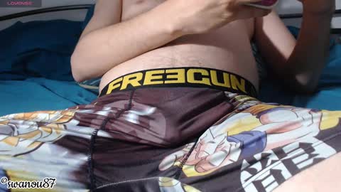 Snapshot of swanou87 chatting on February 19, 2025, 11:57 pm swanou87 online show from February 19, 2025, 11:57 pm