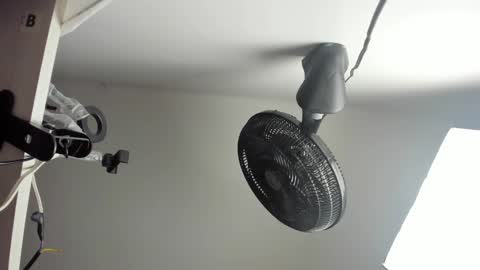 Vanessa online show from October 27, 2025, 4:49 am